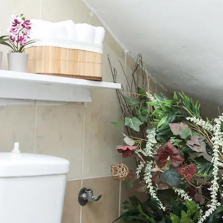 Natasha's Tiny Apartamento *