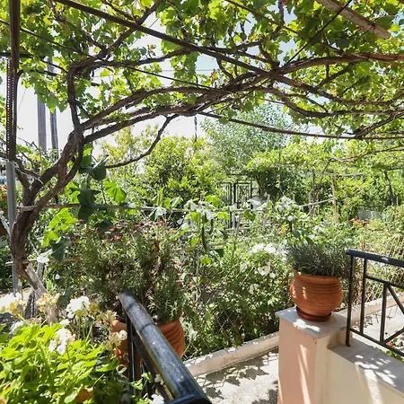 公寓 Natasha's Tiny