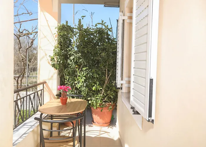 Natasha's Tiny * 帕拉马